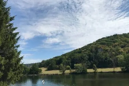 La Meuse entre sapins et collines, vue du bord de l’eau